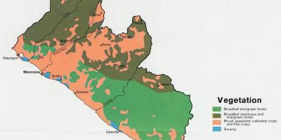 地植被地图，利比里亚